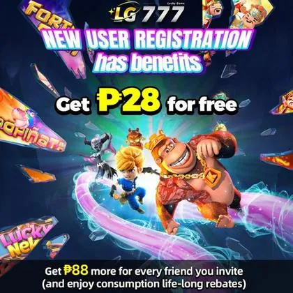 29D 29D